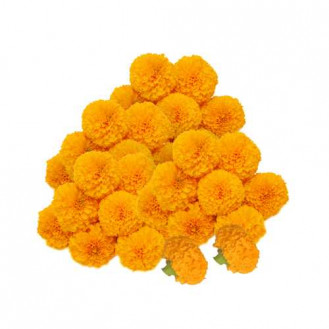 Fresh Marigold Orange Flowers -250 gms