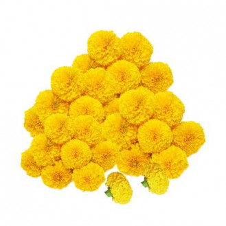 Fresh Marigold Yellow Flowers -250 gms