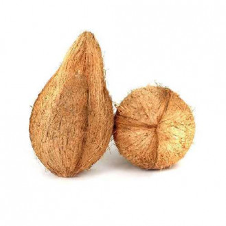 Coconut / Khopri / Nariyal:  1 Pc