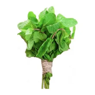 Mint Leaves/Pudina  - 1 bundle
