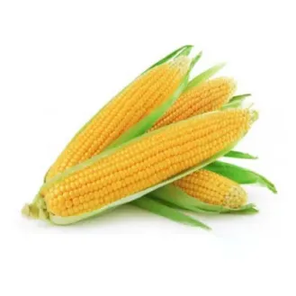 Sweet Corn 1Pc