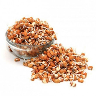 Sprouts - red chowli 125 gm