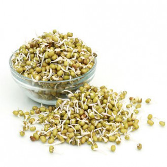Sprouts - green gram 125 gm